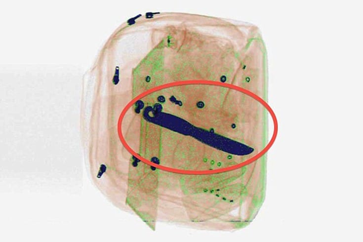31