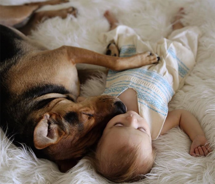 every-kids-need-pets-710__700