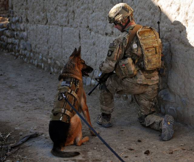 hardhitting_action_photos_of_dogs_who_serve_in_the_military_640_60