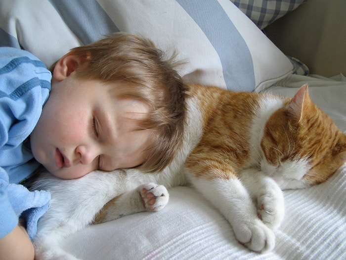 every-kids-need-pets-25__700