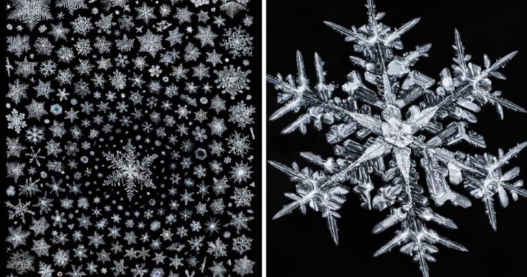 Αυτές οι κοντινές φωτογραφίες των χιονονιφάδων αποκαλύπτουν κάτι εντυπωσιακό. Θα σας αφήσουν άφωνους.