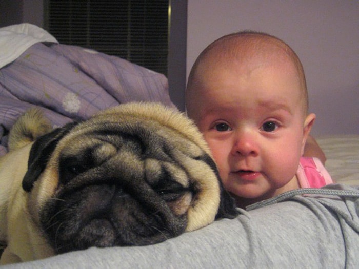kids-with-pets-67__700