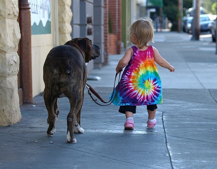 kids-with-pets-56__700