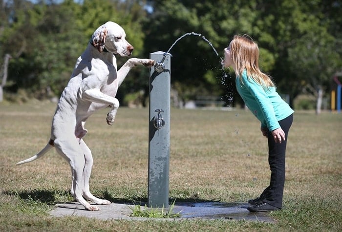 kids-with-pets-711__700