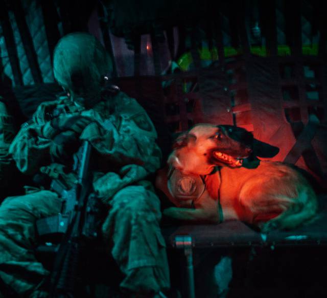 hardhitting_action_photos_of_dogs_who_serve_in_the_military_640_39