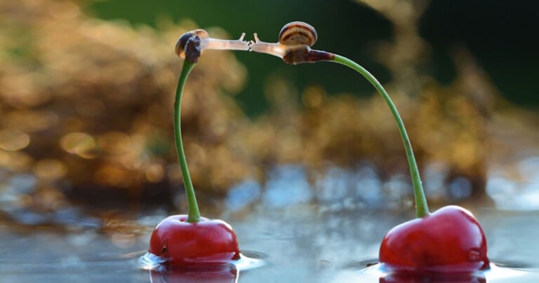 15 συγκινητικές φωτογραφίες που αποδεικνύουν ότι η αγάπη βρίσκεται παντού γύρω μας.