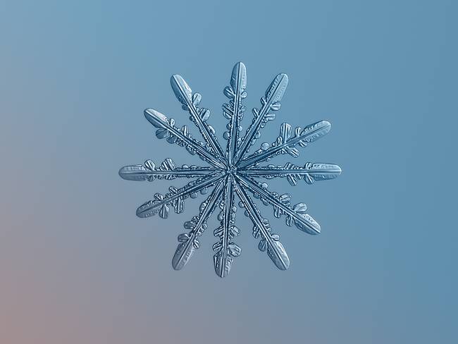 snow6.jpg.650x0_q70_crop-smart