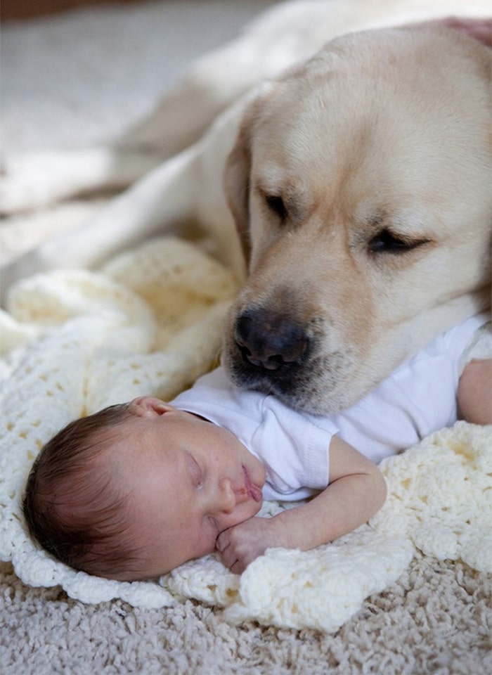 kids-with-pets-50__700