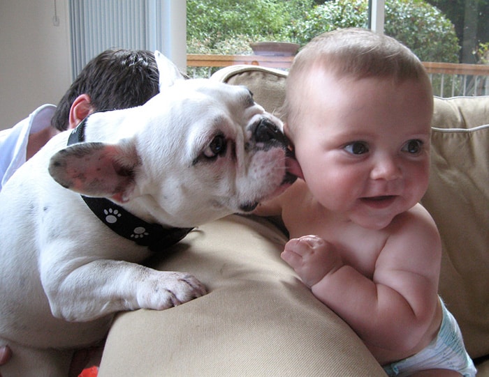 kids-with-pets-55__700
