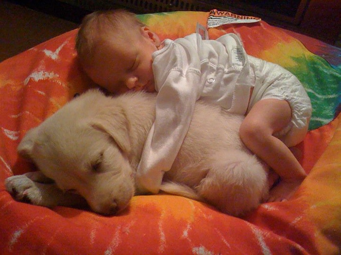 kids-with-pets-42__700