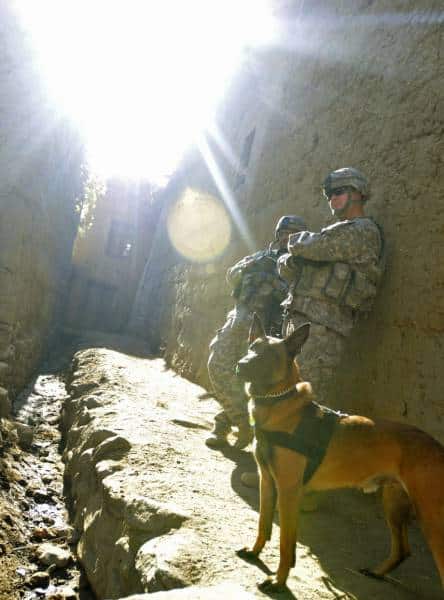 hardhitting_action_photos_of_dogs_who_serve_in_the_military_640_07