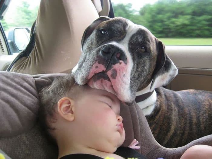 kids-with-pets-46__700