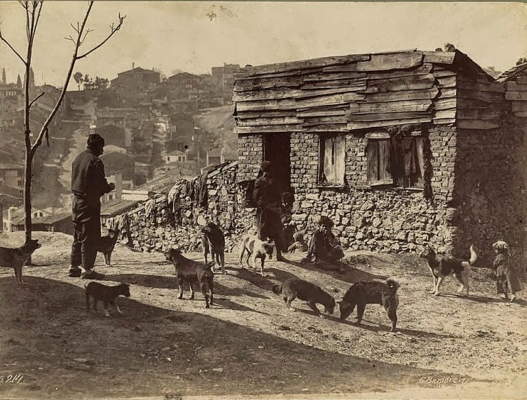 Istanbul from 1870s-1900s (4)