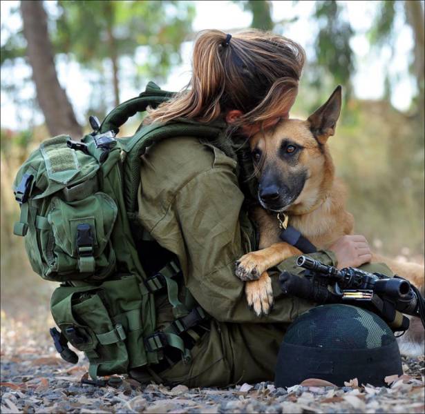 hardhitting_action_photos_of_dogs_who_serve_in_the_military_640_33
