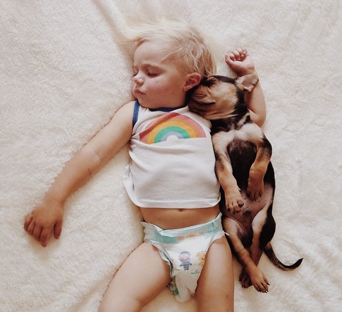 every-kids-need-pets-21__700