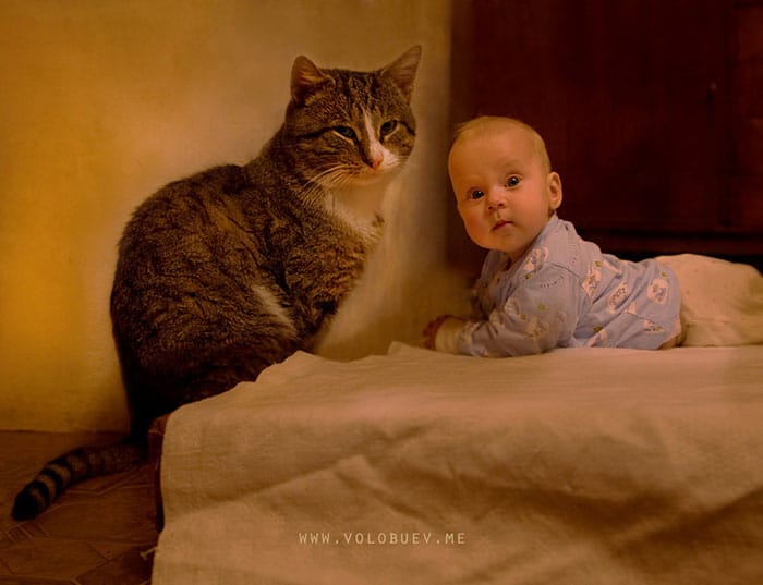 every-kids-need-pets-511__700