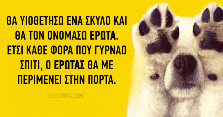 25 υπέροχοι λόγοι για να πάρετε επειγόντως έναν σκύλο.