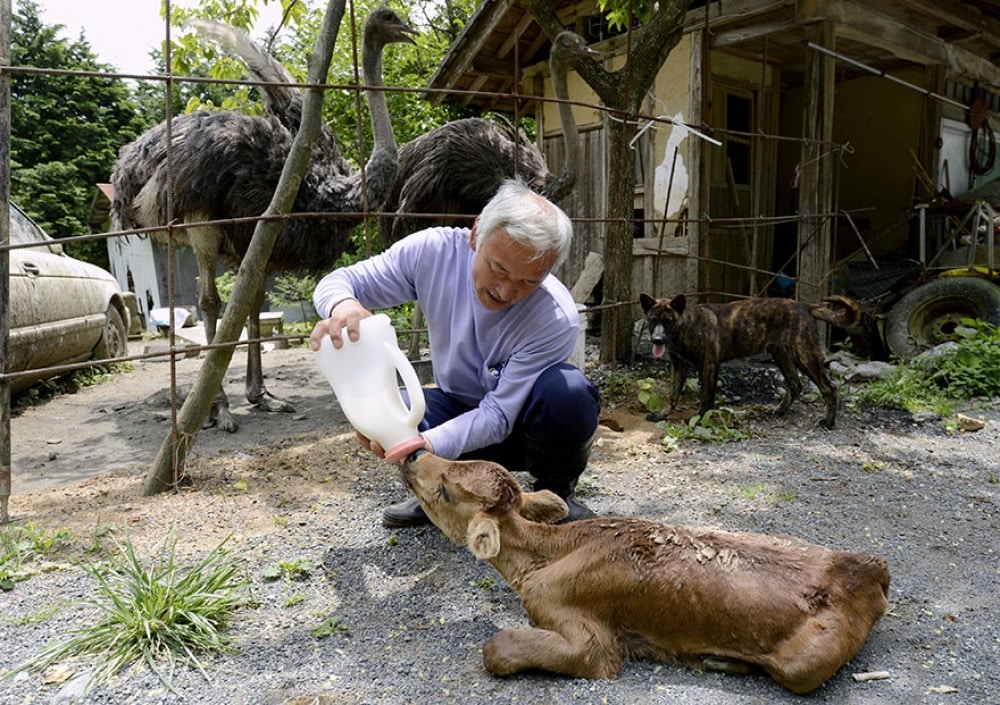 5357510-1000-1450451677-fukushima-radioactive-disaster-abandoned-animal-guardian-naoto-matsumura-13