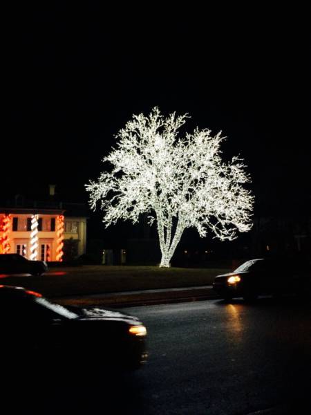 amusing_holiday_pics_and_gifs_that_will_inspire_some_christmas_cheer_640_15
