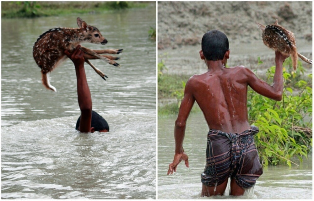 5358160-1000-1450451677-collage12