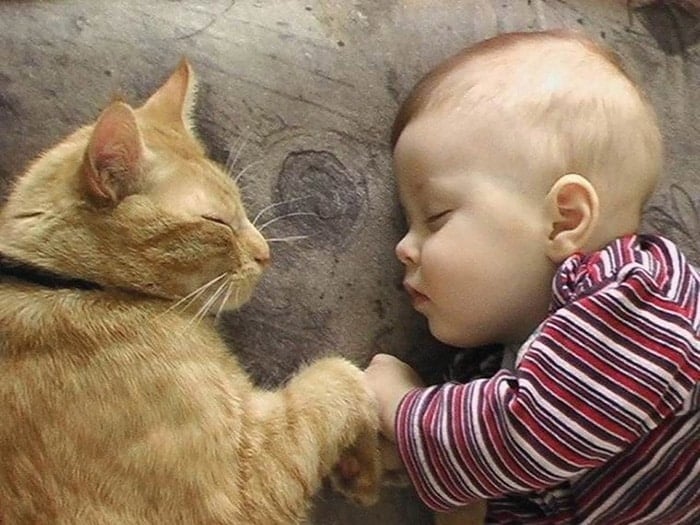 every-kids-need-pets-22__700