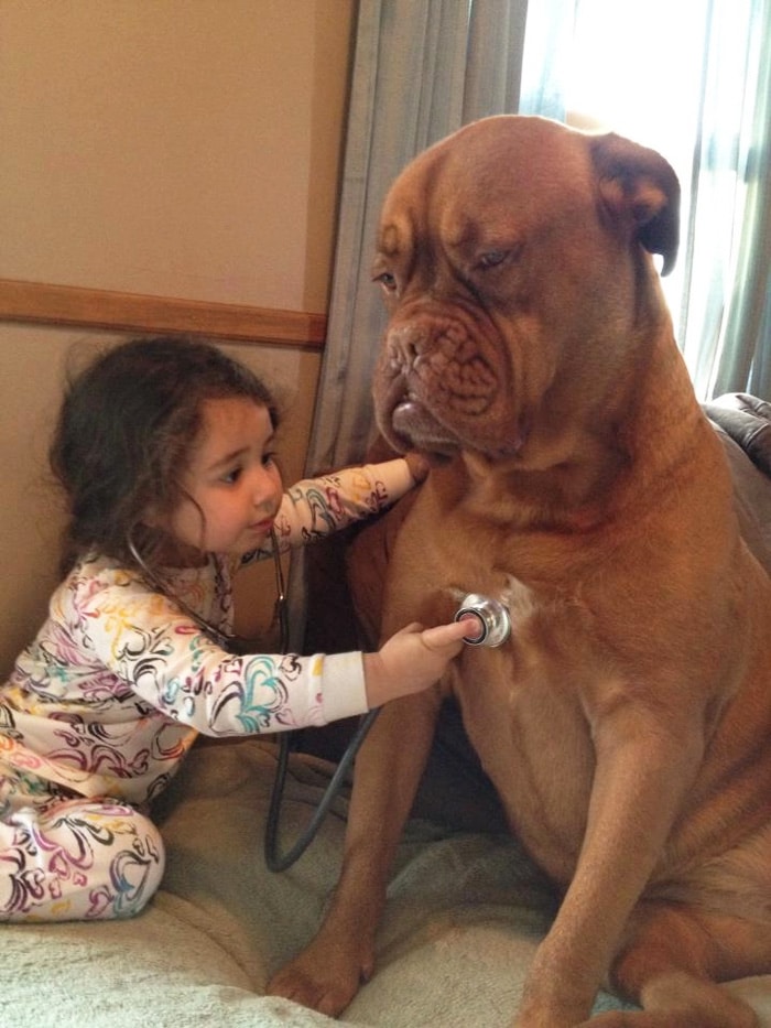 every-kids-need-pets-10__700