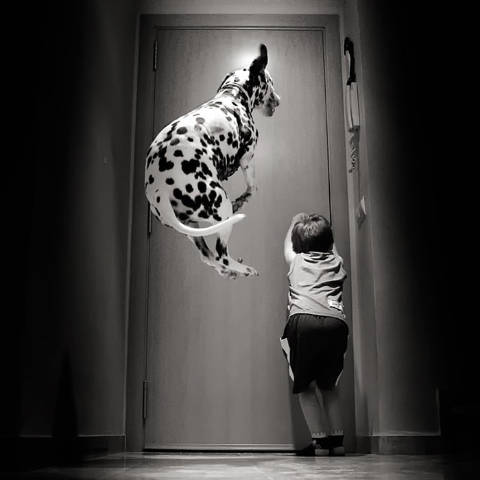 kids-with-pets-511__700