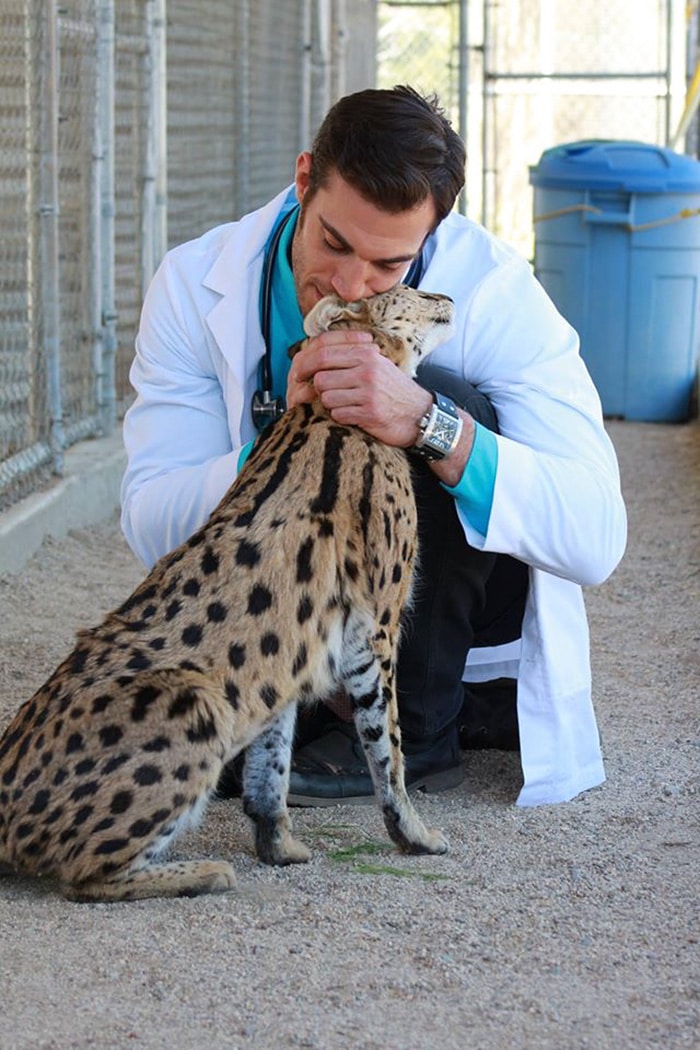 hottest-vet-pet-doctor-evan-antin-california-436__700