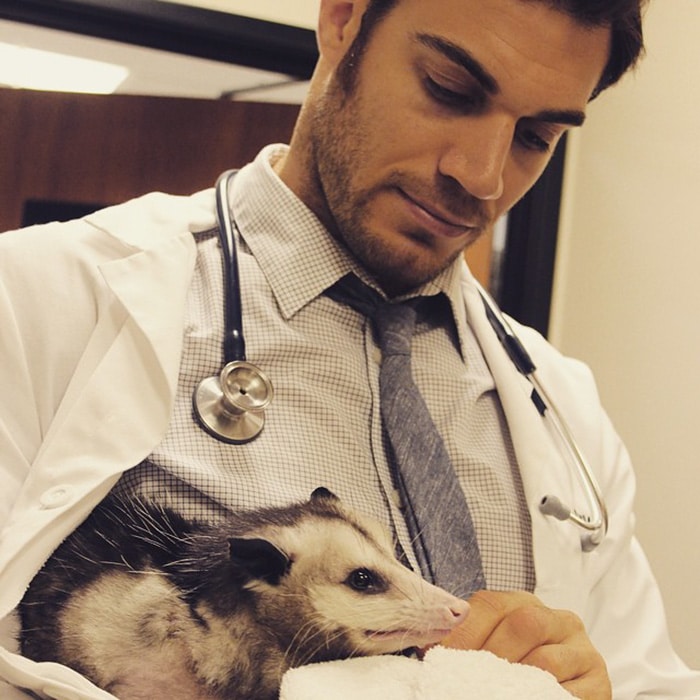 hottest-vet-pet-doctor-evan-antin-california-420__700