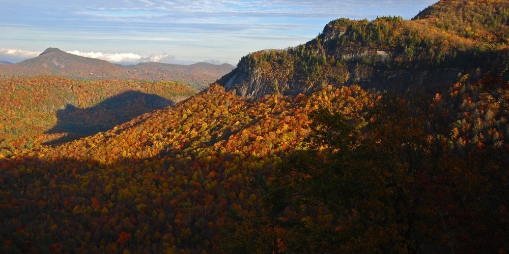 15 φωτογραφίες από την άγρια φύση που θα σας κόψουν την ανάσα 3 275255-R3L8T8D-1000-o-SHADOW-OF-THE-BEAR-facebook