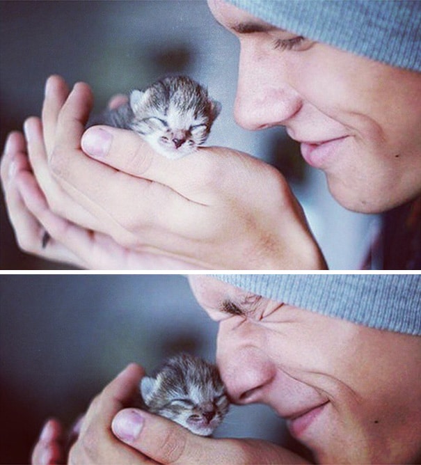 hot-dudes-with-kittens-instagram-391__605