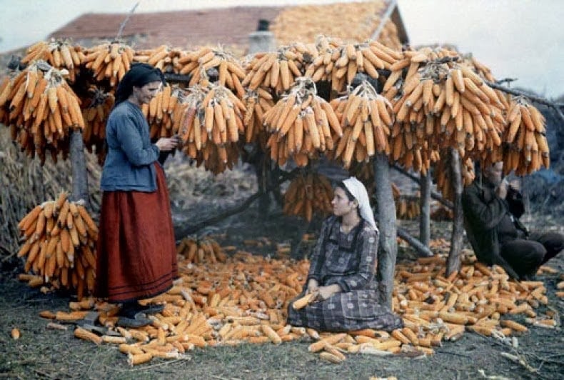 Portraits of Greeks in the 1920's (22)