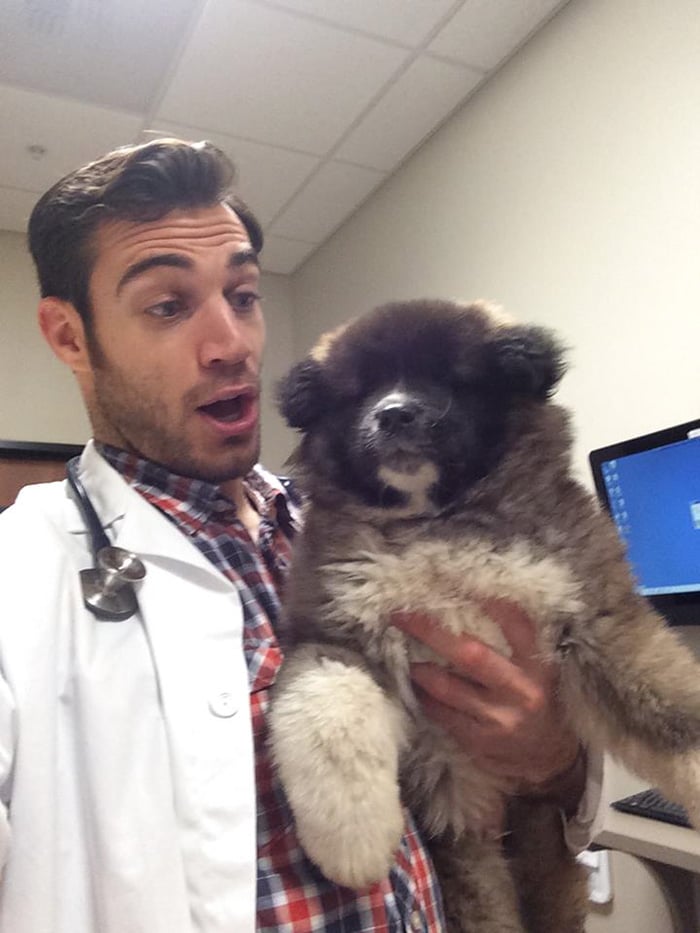 hottest-vet-pet-doctor-evan-antin-california-419__700