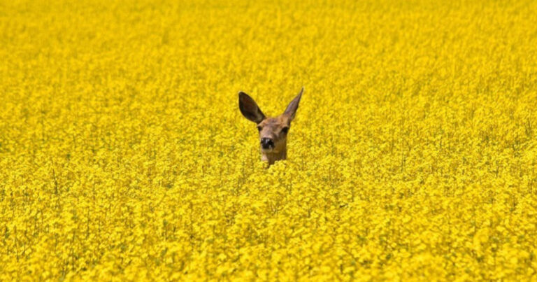 20 τέλειες φωτογραφίες που θα ικανοποιήσουν κάθε λάτρη του μινιμαλισμού.