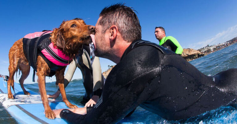Σκύλος «θεραπευτής» βοηθάει ανθρώπους με ειδικές ανάγκες να πραγματοποιήσουν τα όνειρα τους.