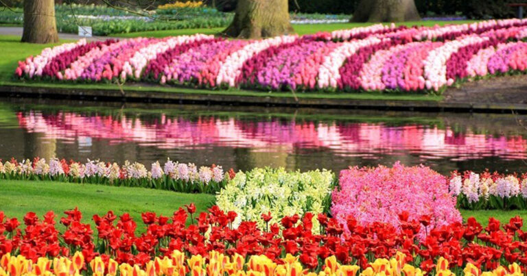 Keukenhof: Ο εκπληκτικός λουλουδόκηπος της Ολλανδίας