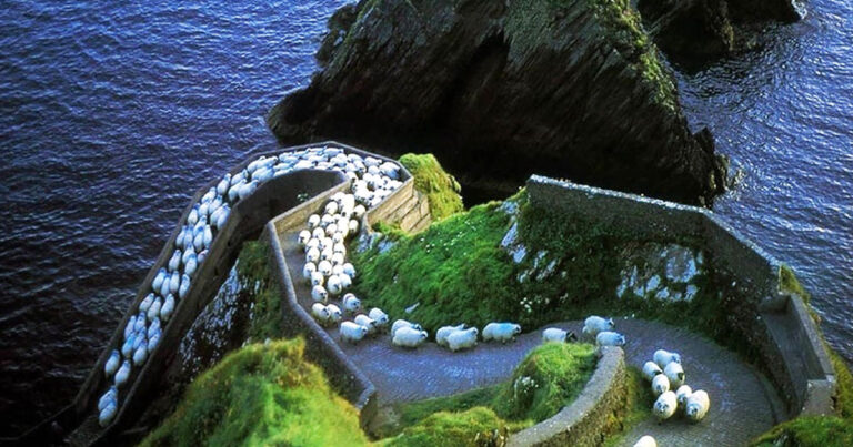 21 μαγευτικές εικόνες της Ιρλανδίας που θυμίζουν σκηνικά παραμυθιού