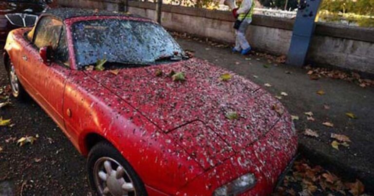 15 άνθρωποι που έχουν δει και καλύτερες μέρες