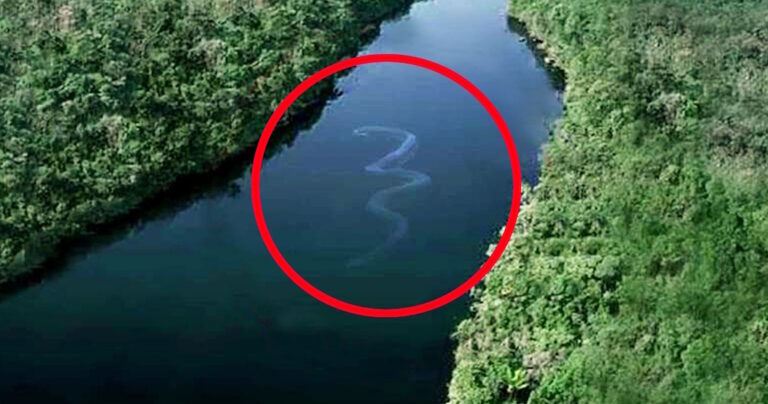 15 φωτογραφίες που θα σας κάνουν να αναθεωρήσετε το κολύμπι στα βαθιά νερά