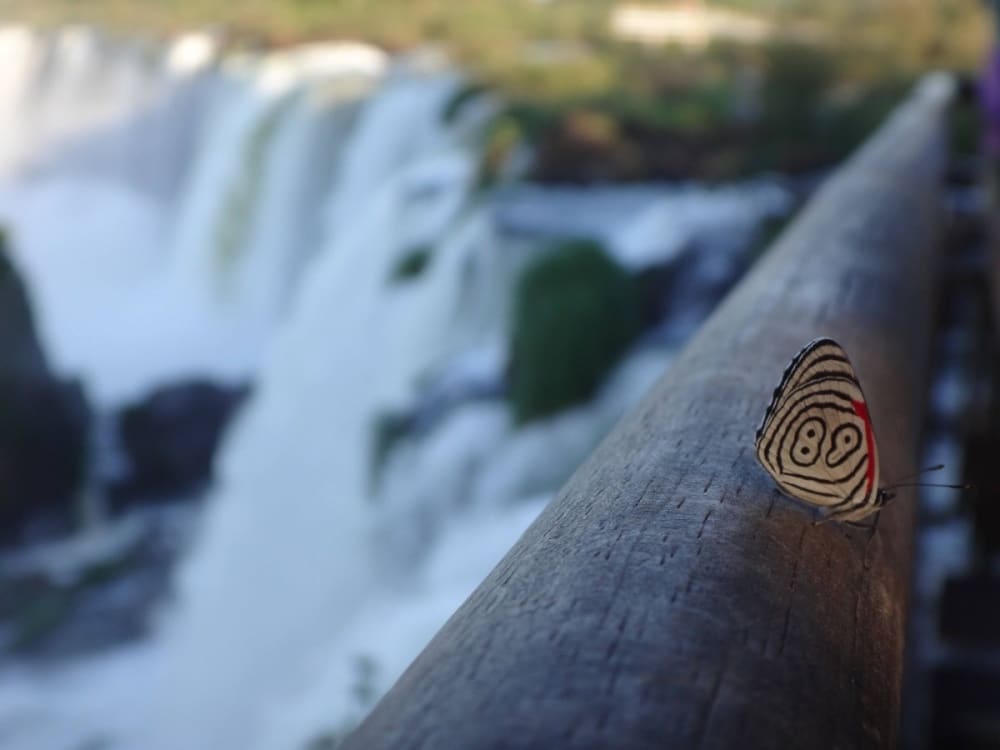 20 απίστευτες φωτογραφίες που δείχνουν την απέραντη ομορφιά της φύσης 51 5761560-1000-1452780181-RzgkDbQ