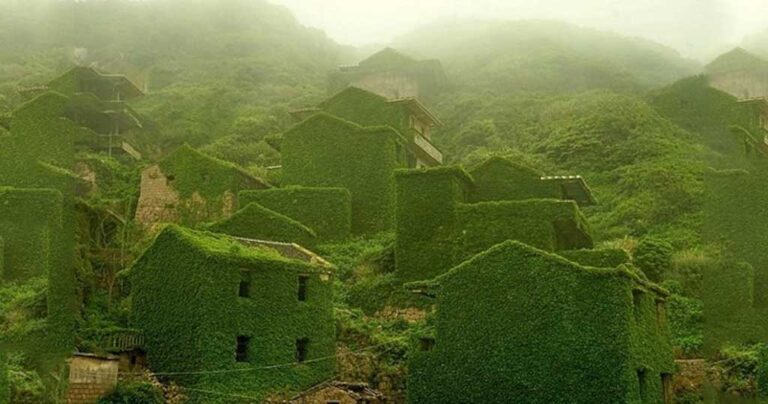 20 φωτογραφίες όπου η φύση νίκησε τον ανθρώπινο πολιτισμό