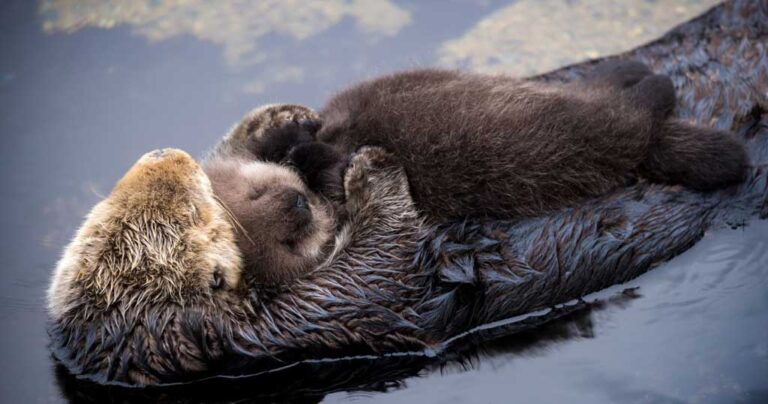 20 υπέροχες φωτογραφίες, που θα σας κάνουν να νιώσετε ζεστά ακόμα και στις πιο κρύες ημέρες
