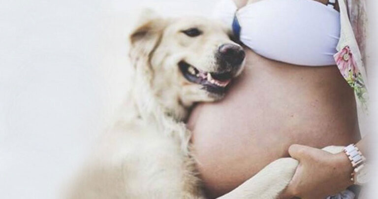 20 σκύλοι που περιμένουν να υποδεχτούν με ανυπομονησία το νέο μέλος της οικογένειας!