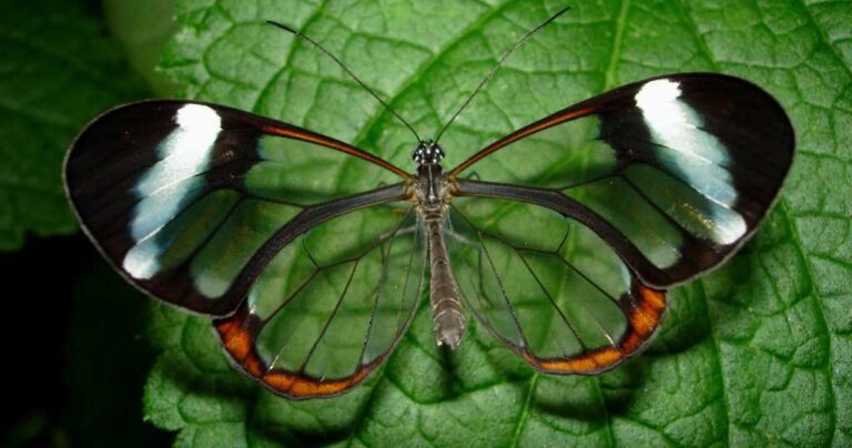 20 απίστευτες φωτογραφίες που δείχνουν την απέραντη ομορφιά της φύσης