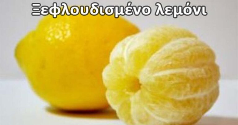 11 πράγματα που δεν βλέπεις κάθε μέρα!
