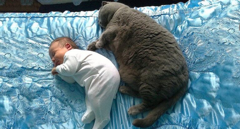 27 φωτογραφίες που δείχνουν ότι τα παιδιά χρειάζονται κατοικίδια αλλά και το αντίστροφο!