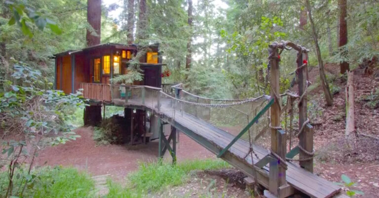 Μοιάζει με ένα συνηθισμένο δενδρόσπιτο αλλά το εσωτερικό του δεν έχει καμία σχέση!