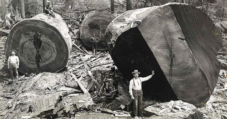 20 εντελώς απίθανες φωτογραφίες από το παρελθόν.