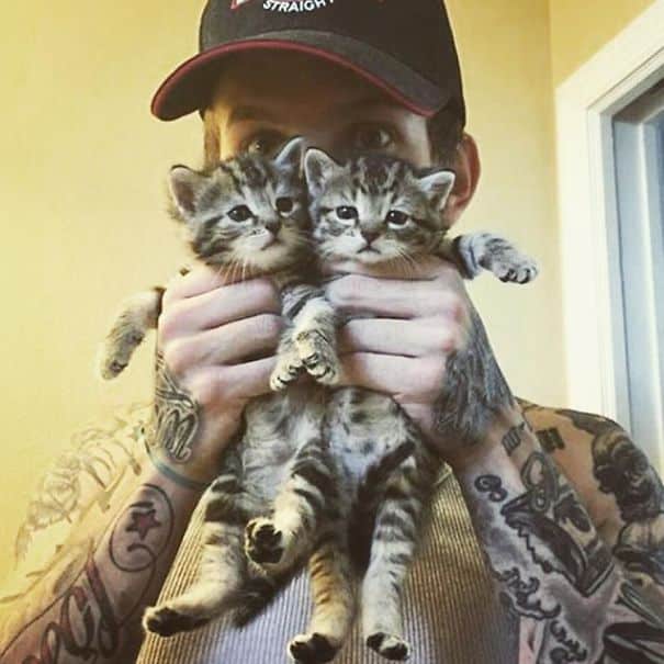 hot-dudes-with-kittens-instagram-72__605