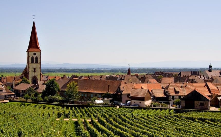 Alsace-winery